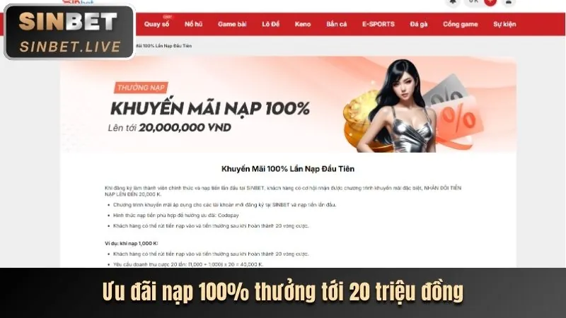 Hoàn Trả Hàng Ngày/Tuần Cao
